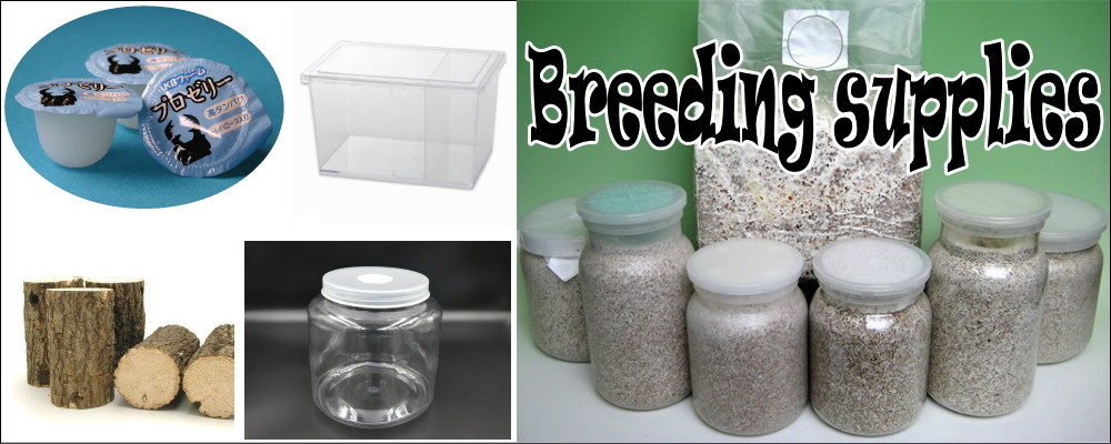 セキネビートルどっとこむ